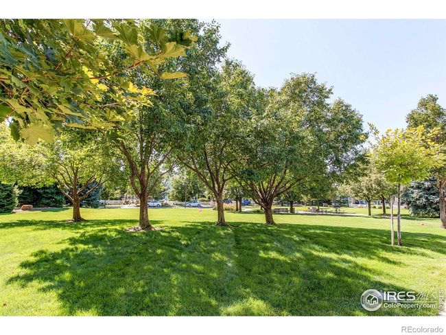 1953 Piney River Dr, Townhouse with 3 bedrooms, 3 bathrooms and 2 parking in Loveland CO | Image 28