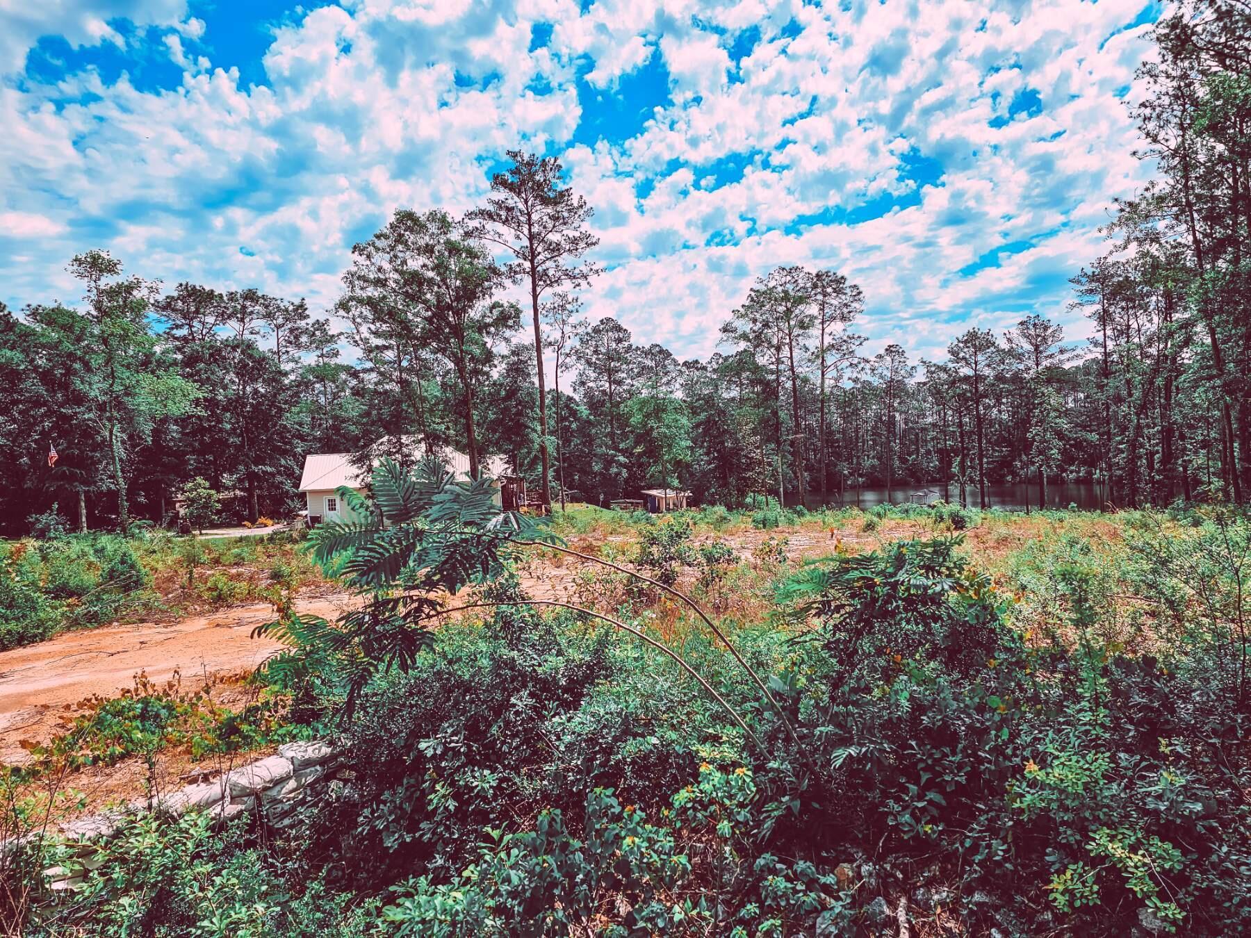 Land in DeFuniak Springs 3