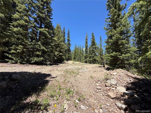 339 Silverheels Pl, Fairplay, CO, 80440 | Card Image
