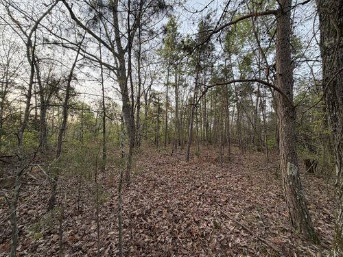 0 Salem Rd, Centerville, TN, 37033 | Card Image