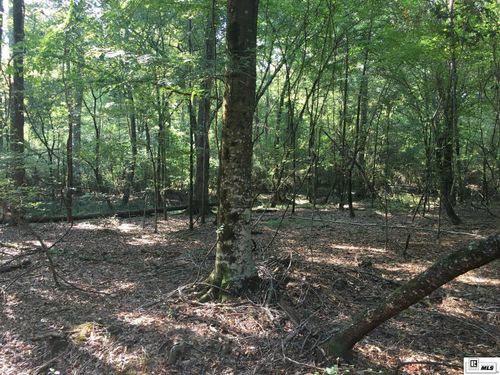 000 Highway 552, Downsville, LA, 71234 | Card Image