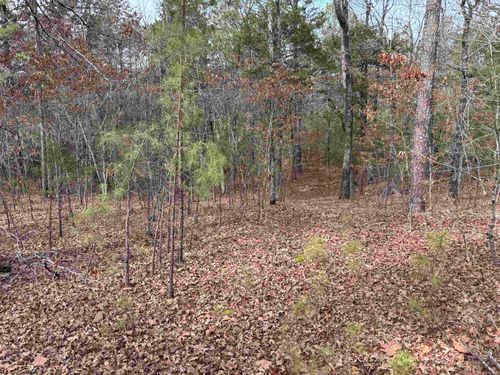 00 Pinewood Rd, Clinton, AR, 72031 | Card Image