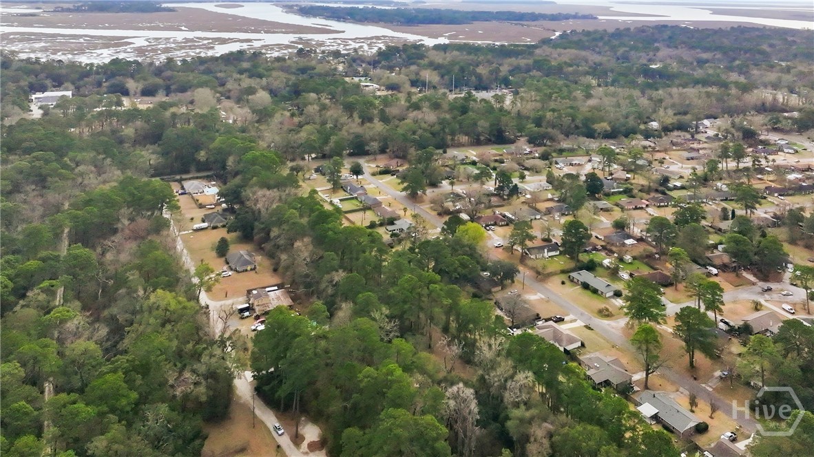 Land in Savannah 2