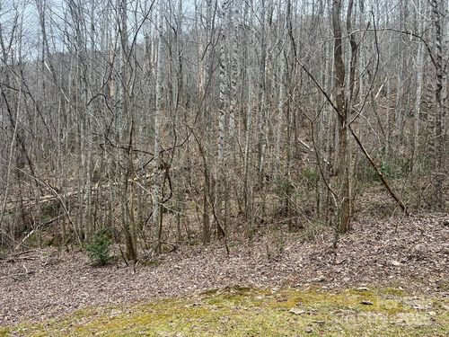 lot-8-0 English Setter Trl, Whittier, NC, 28789 | Card Image