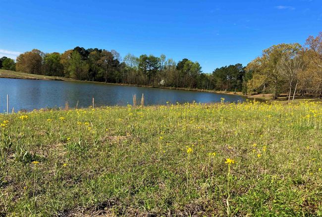 Lot 49 White Oak Creek Ranch, Home with 0 bedrooms, 0 bathrooms and null parking in Big Sandy TX | Image 8