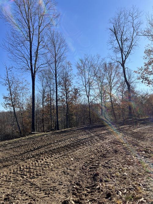 91 Rolling Hills Rd, Lobelville, TN, 37097-4250 | Card Image