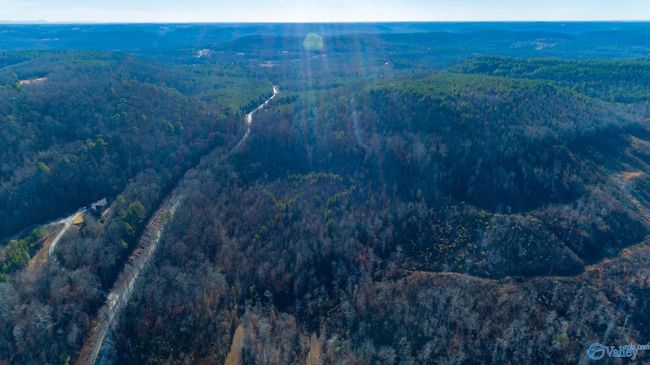 80 acres Rock Creek Rd, Home with 0 bedrooms, 0 bathrooms and null parking in Eva AL | Image 28