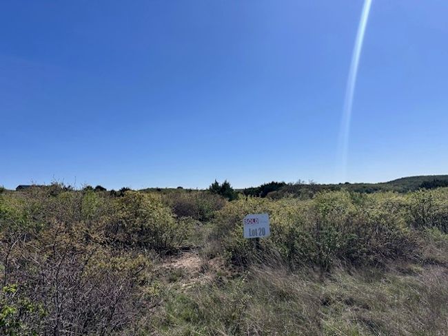 Lot 19 & 20 Hidden Shores Dr., Home with 0 bedrooms, 0 bathrooms and null parking in Cisco TX | Image 11