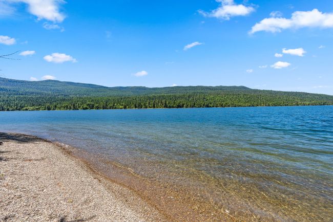 Swan lake shoreline view | Image 25