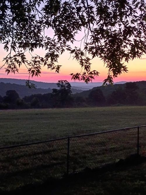 17300 Bethlehem Rd, Winslow, AR, 72959-9716 | Card Image