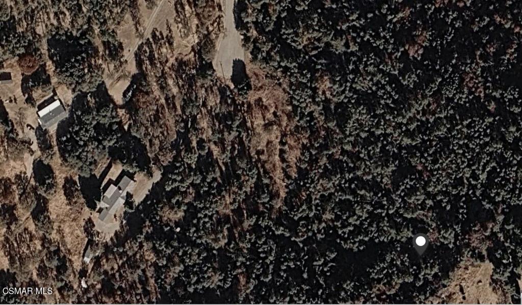 Land in Squaw Valley 4
