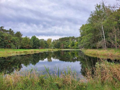 1000 County Road Qq, WAUPACA, WI, 54981 | Card Image