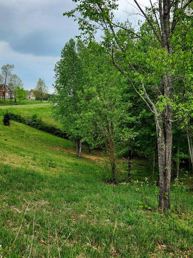 0 Sunset Cir, Home with 0 bedrooms, 0 bathrooms and null parking in Jasper TN | Image 7