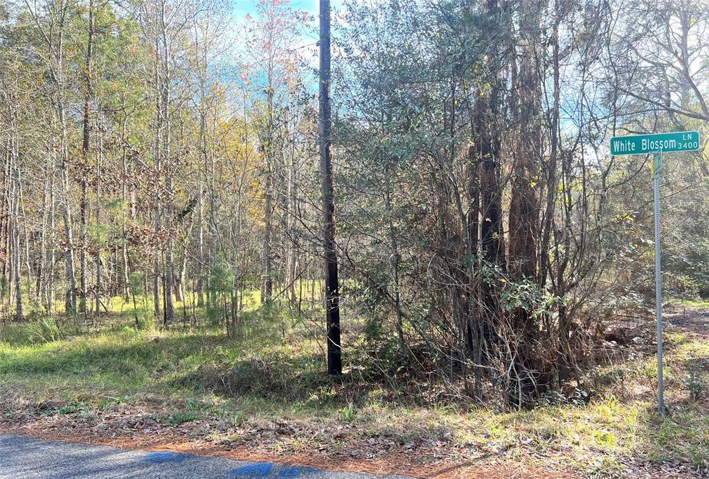 Land in Humble 3