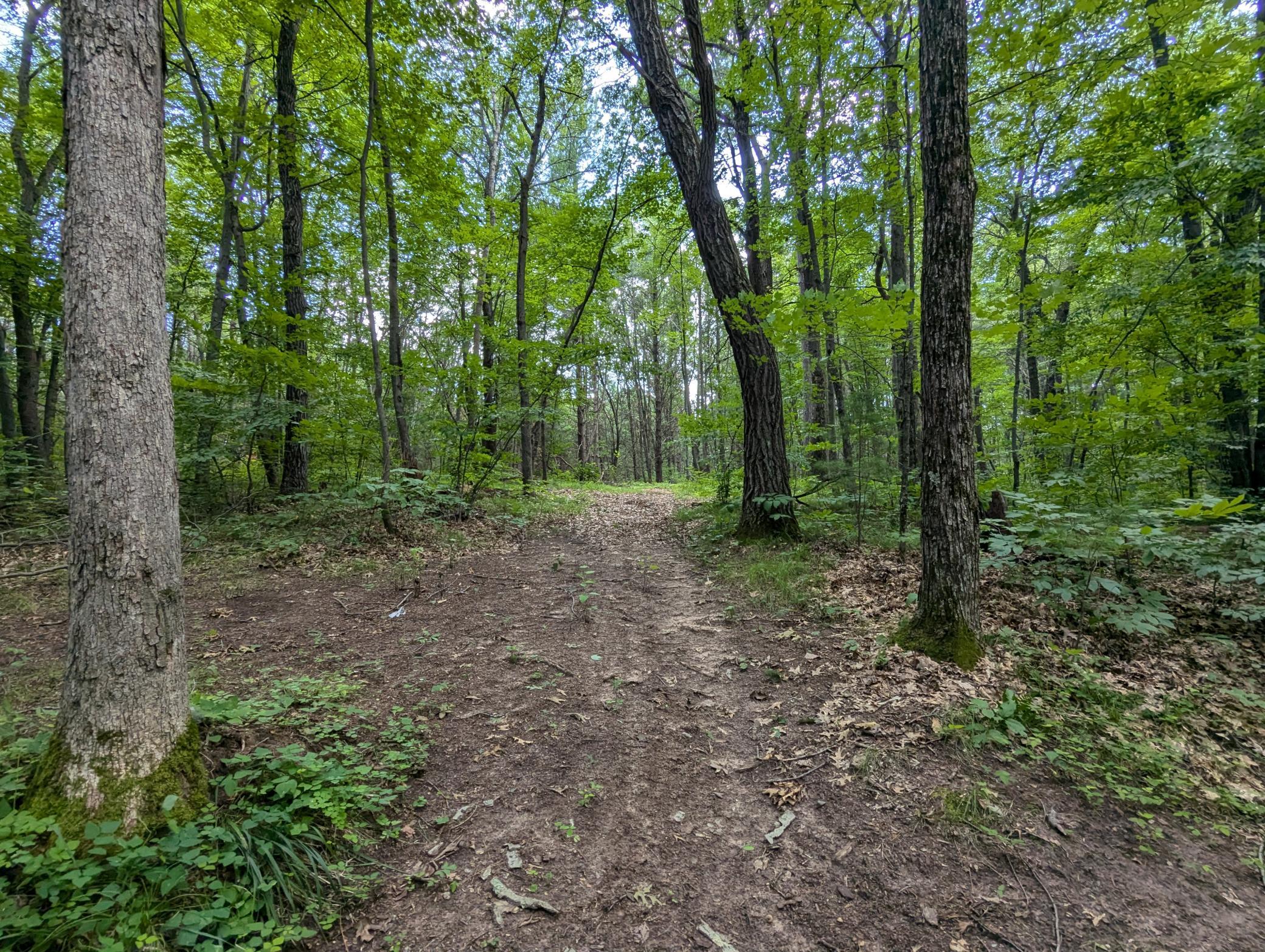 Land in Webster