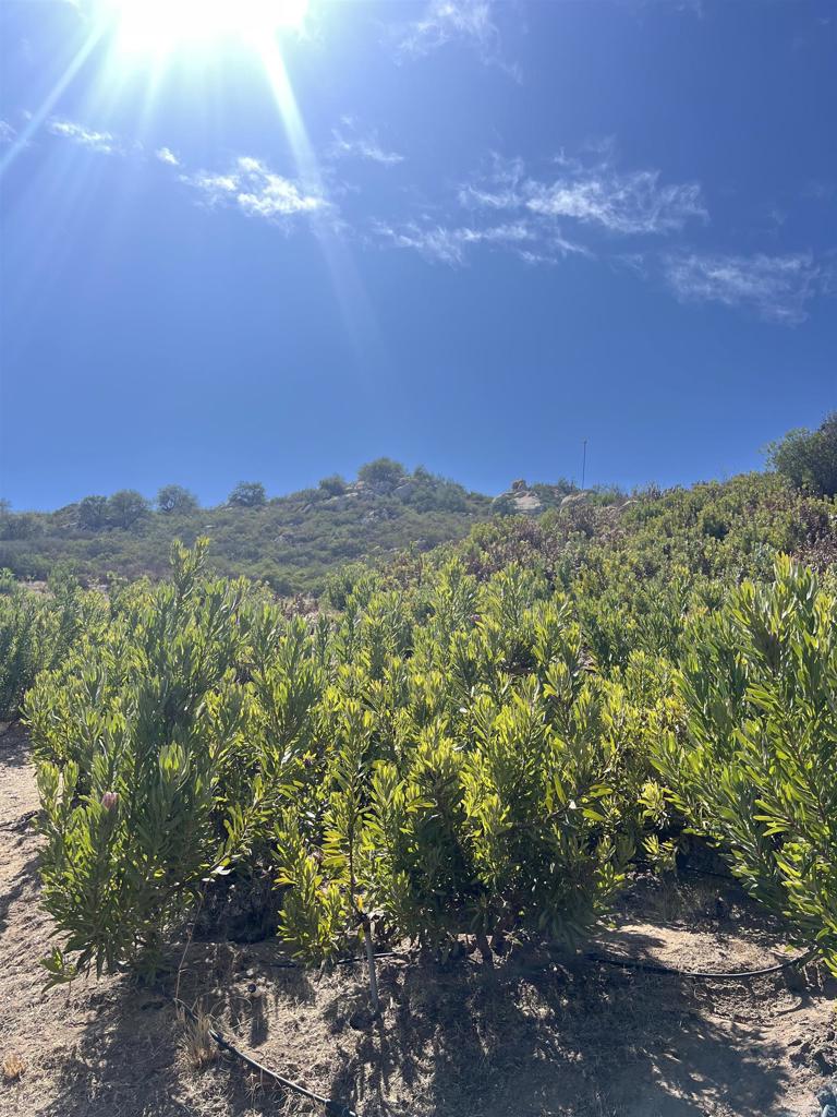 Land in Valley Center