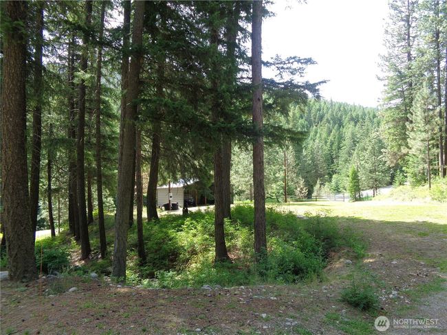 270 N Fork Rd, House other with 1 bedrooms, 1 bathrooms and 2 parking in Conconully WA | Image 29