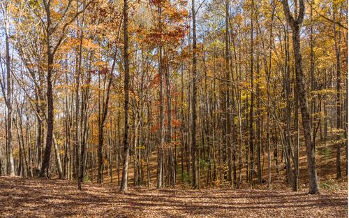 Lot 17R Tanager Trl, Ellijay, GA, 30536 | Card Image