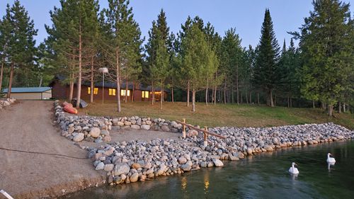 51855 N Wasson Lake Rd, Bigfork, MN, 56628-4501 | Card Image
