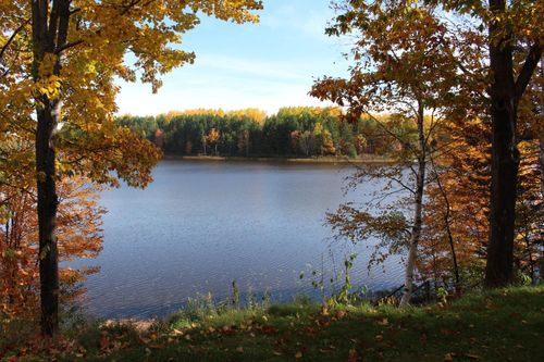 6690 Swamsauger Heights Rd, Minocqua, WI, 54548 | Card Image