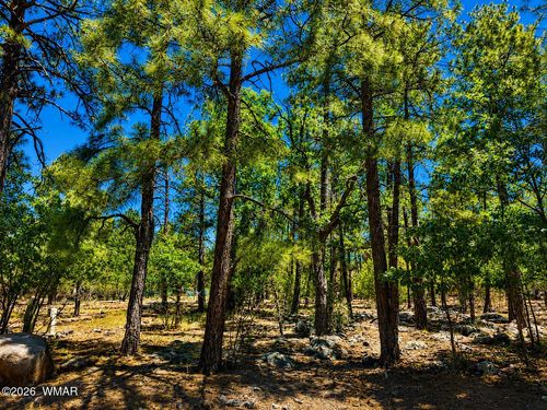 731 Pine Creek Dr, Lakeside, AZ, 85929-5662 | Card Image