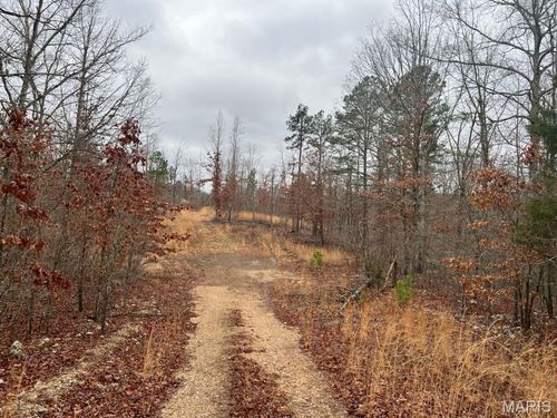 0 Golden Dr, Raymondville, MO, 65555 | Card Image