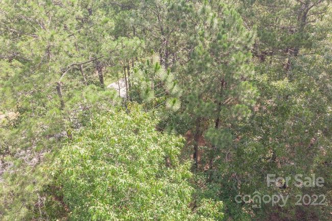 1915 Koon Road, Home with 0 bedrooms, 0 bathrooms and null parking in Lugoff SC | Image 4