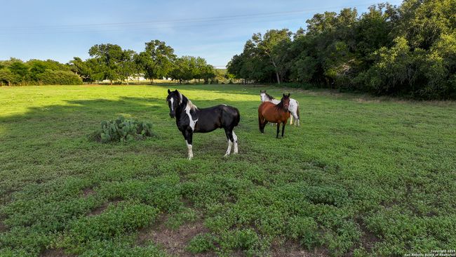 543 Narrows Rd, Home with 0 bedrooms, 0 bathrooms and null parking in Blanco TX | Image 32