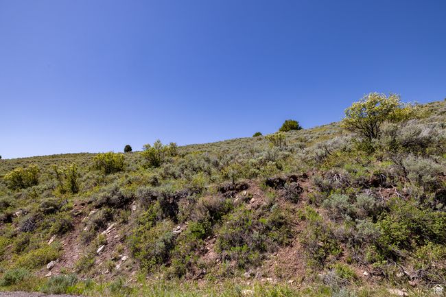 View of undeveloped land | Image 20
