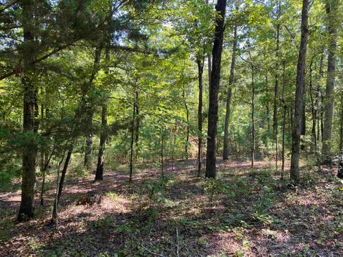 196 Pineview Est, Mount Ida, AR, 71957-8052 | Card Image