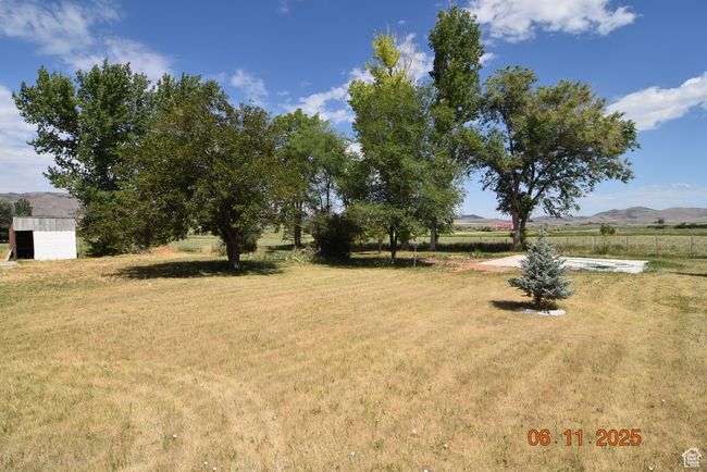 Backyard | Image 23