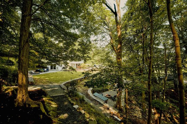 View of green lawn | Image 26