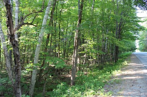 1414 North Gore Road, Chestertown, NY, 12817 | Card Image