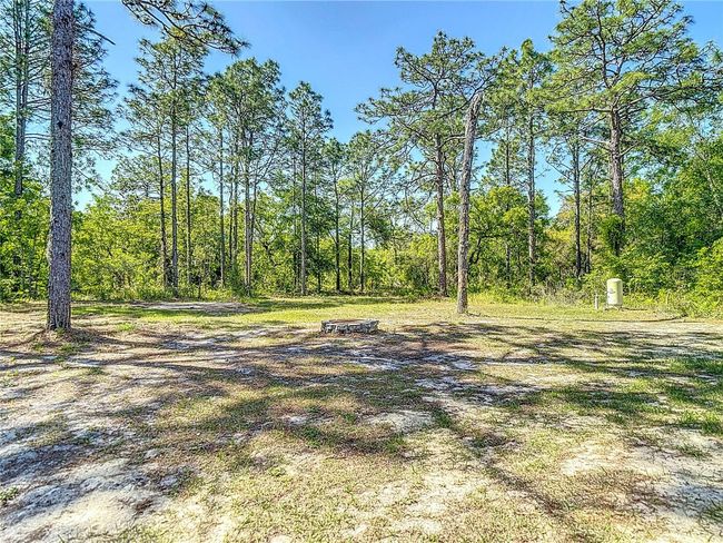 14020 Sooty Tern Ave, House other with 4 bedrooms, 2 bathrooms and null parking in WEEKI WACHEE FL | Image 28
