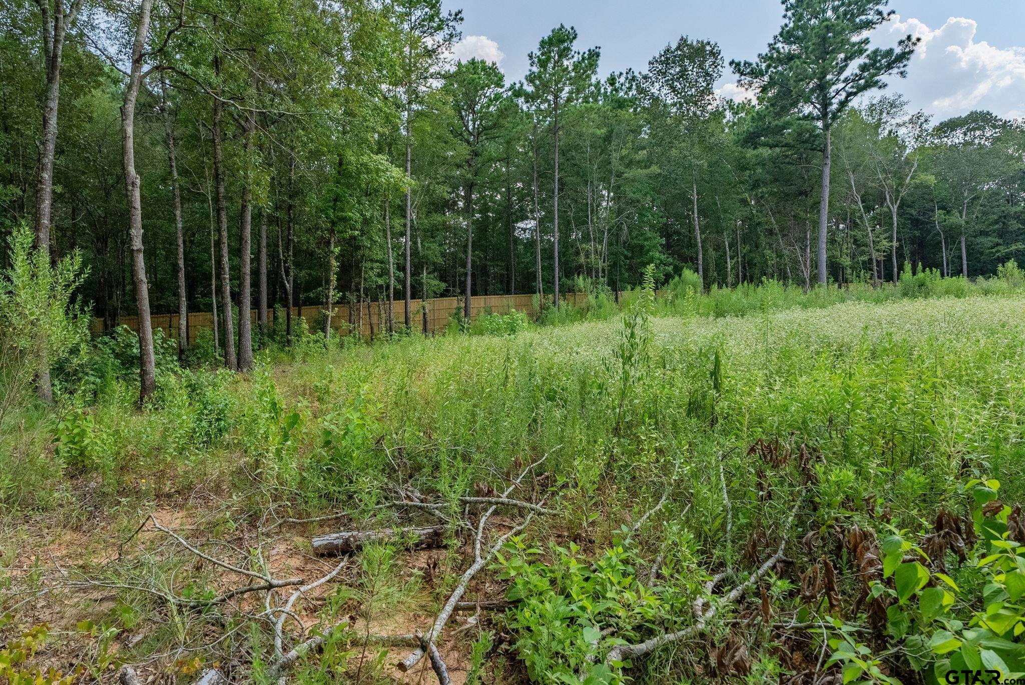 Land in Tyler 4