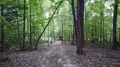 0 Sales Landing Rd, Camden, TN, 38320 | Card Image