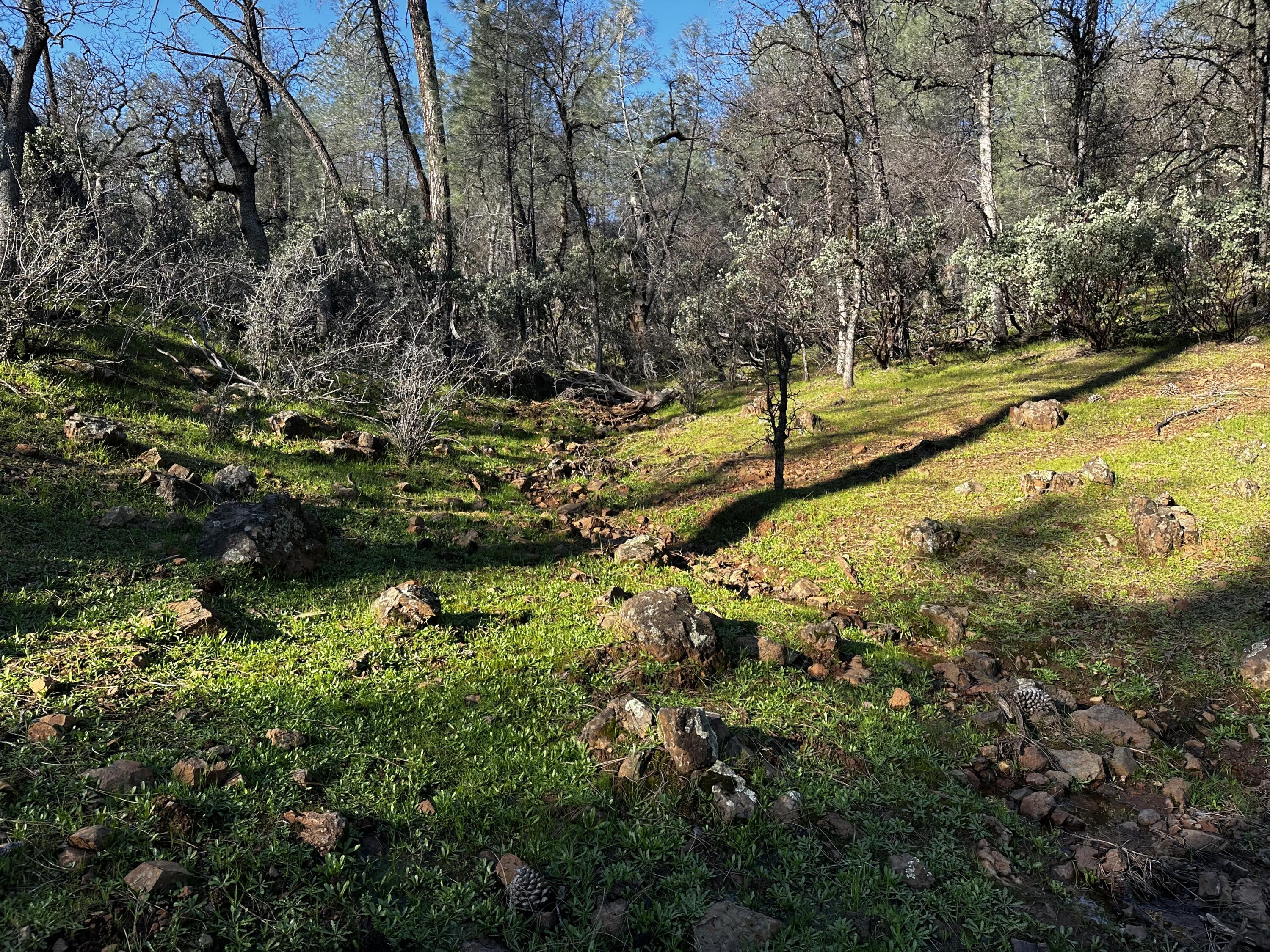Land in Bella Vista 3