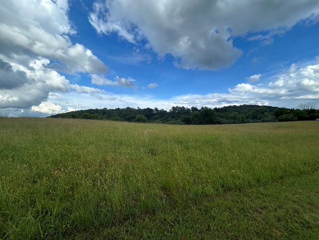 3950 Boyd Rd, House other with 2 bedrooms, 2 bathrooms and null parking in Draper VA | Image 48