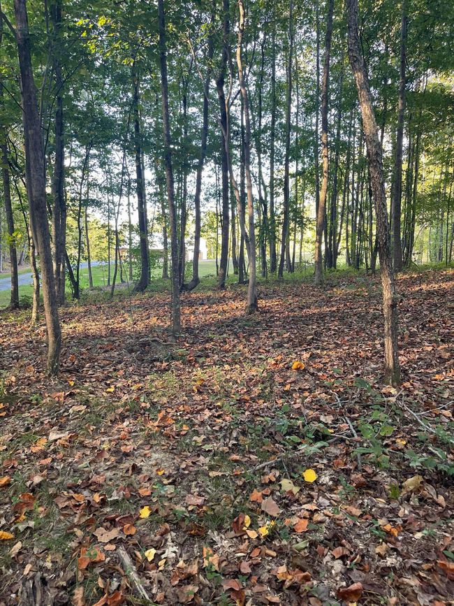 450 County Road 28, House other with 4 bedrooms, 3 bathrooms and null parking in Calhoun TN | Image 125