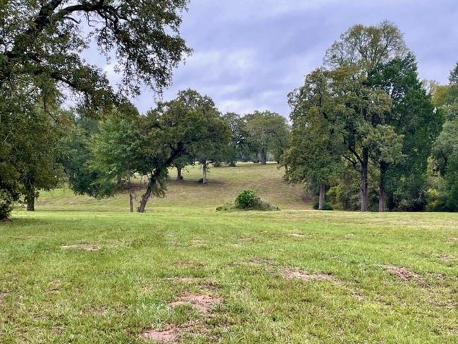 1073 Creekside Lane, Home with 0 bedrooms, 0 bathrooms and null parking in Lexington TX | Image 12