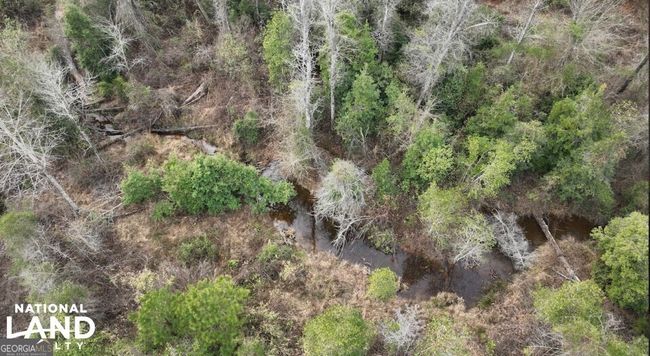 0 County Road 36, Home with 0 bedrooms, 0 bathrooms and null parking in Eufaula AL | Image 4