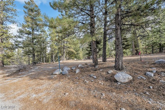 2194 Via Spes Nostra St, Home with 0 bedrooms, 0 bathrooms and null parking in Mount Charleston NV | Image 17