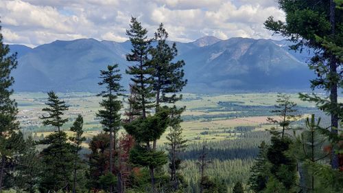 21 Arlee Pines Dr, Arlee, MT, 59821 | Card Image