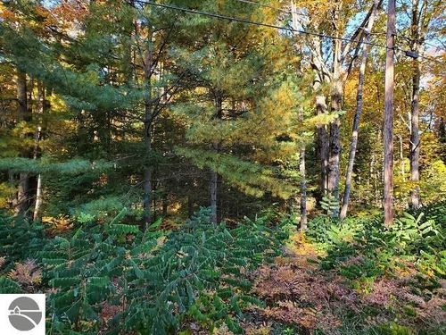 0 Scenic River Dr, Alger, MI, 48610 | Card Image