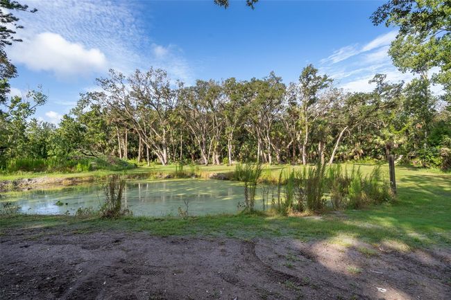 411 Racoon Trl, House other with 3 bedrooms, 2 bathrooms and null parking in GENEVA FL | Image 10