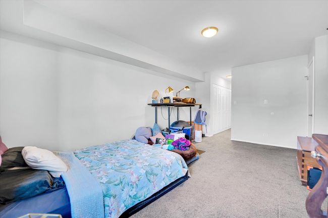 UNIT-114 - 3350 N Carriageway Dr, Condo with 2 bedrooms, 2 bathrooms and 1 parking in Arlington Heights IL | Image 14