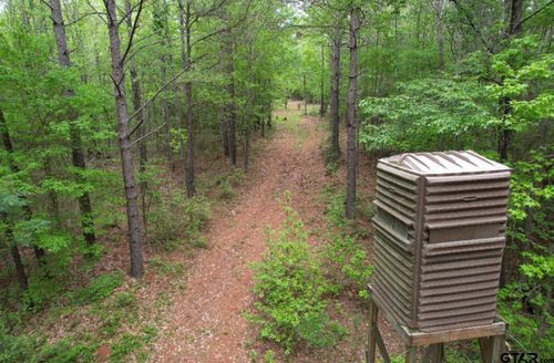 TBD Cr 120c, San Augustine, TX, 75972 | Card Image