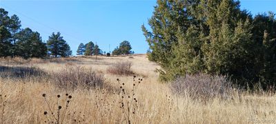 16550 Private Road 146 Parcel A, Home with 0 bedrooms, 0 bathrooms and null parking in Kiowa CO | Image 2