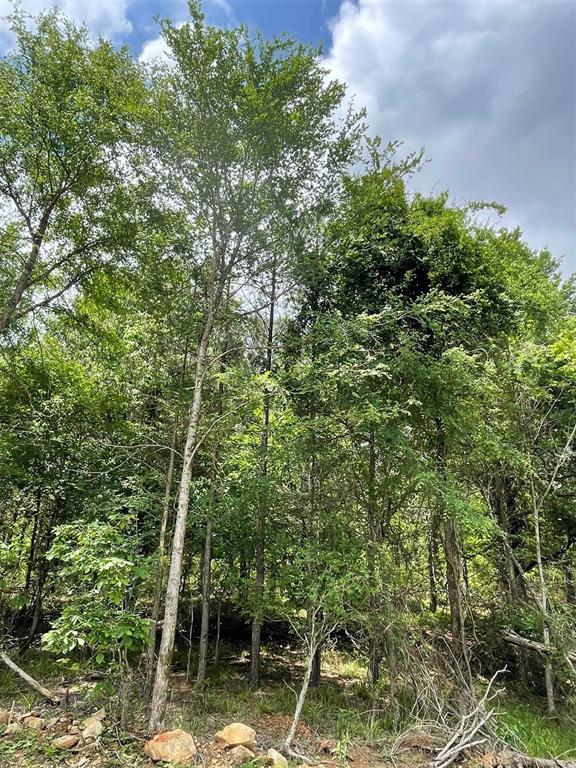 Land in Broken Bow