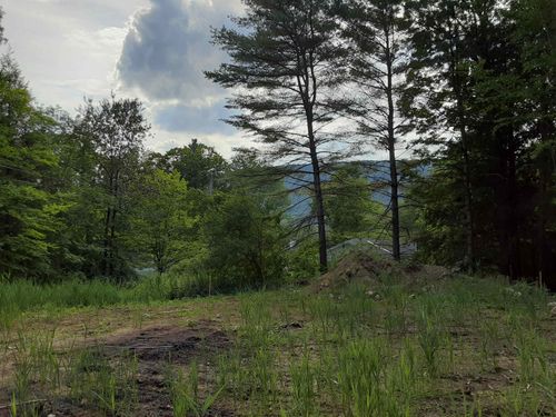 0 Forest Dale Rd, Brandon, VT, 05733 | Card Image